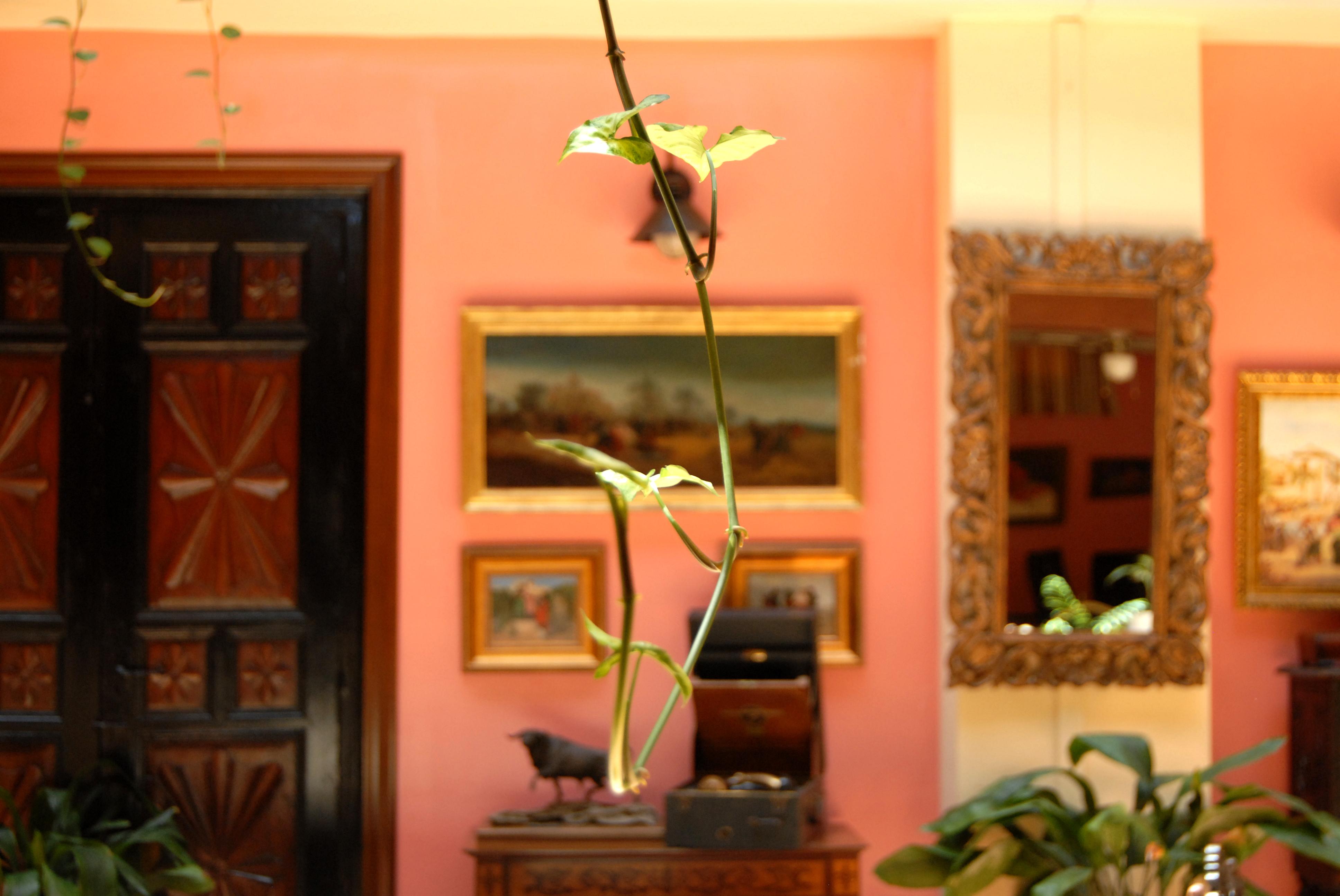 Hotel Pinomar El Puerto de Santa Maria Luaran gambar